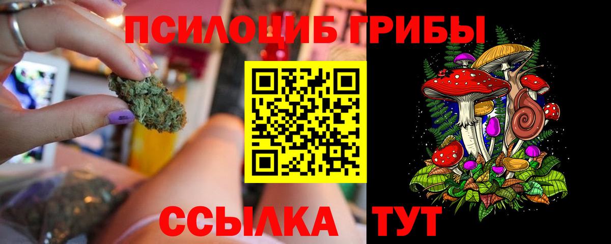 Гусев  Галлюциногенные грибы ЛСД  Вход с VPN 